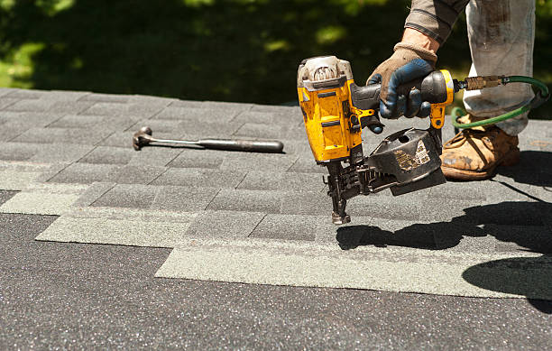 Roof Moss and Algae Removal in Manchester, MD